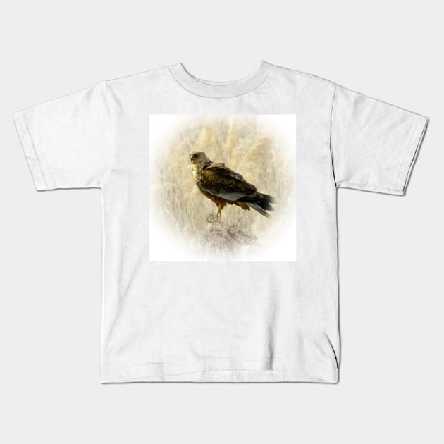 Marsh harrier Kids T-Shirt by Guardi